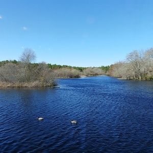 Meet your Posher, Fashion